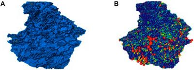 Pore Network Modeling of Oil–Water Flow in Jimsar Shale Oil Reservoir